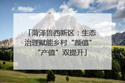 菏泽鲁西新区：生态治理赋能乡村“颜值”“产值”双提升